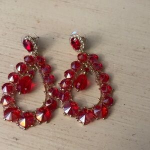 Elegant Red Teardrop Earrings
